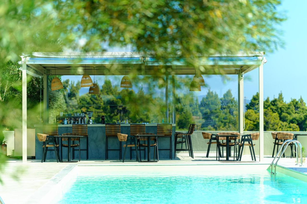 Casa Panorama (adults Only) 2* Kalogria (Sithonia)
